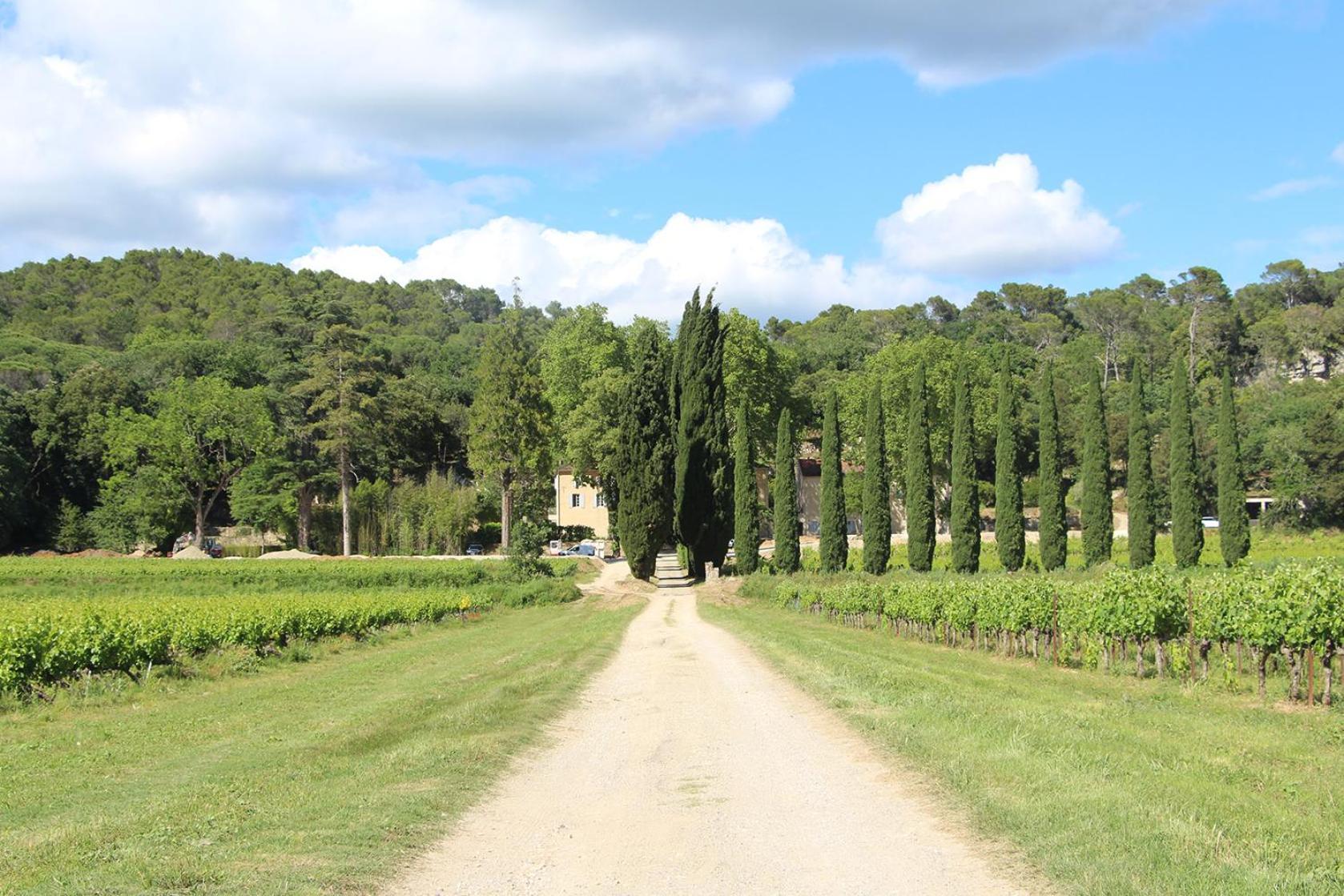 Chateau De L'Olivete Cornillon Exterior foto